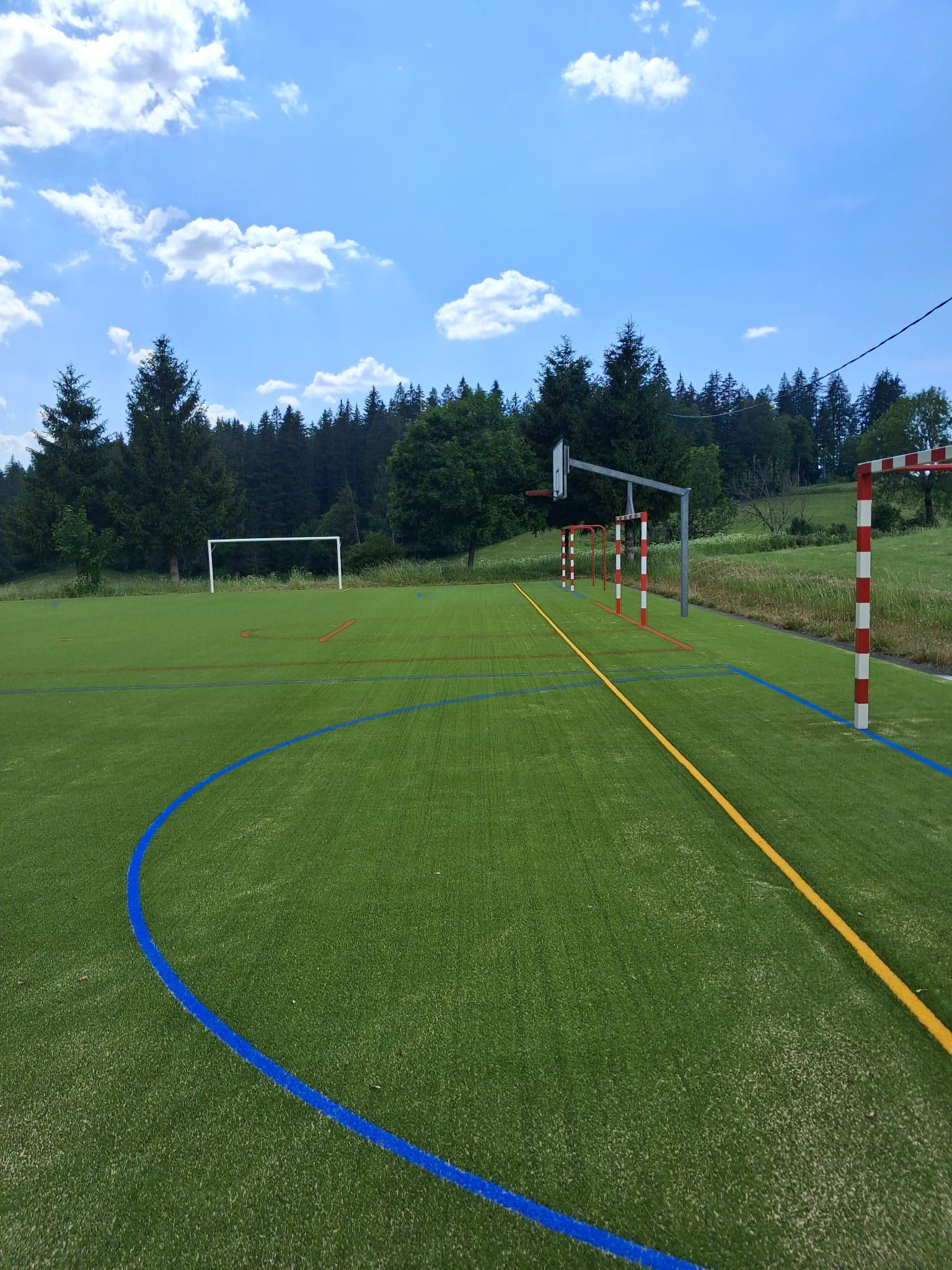 Terrain multisports extérieur entouré de verdure